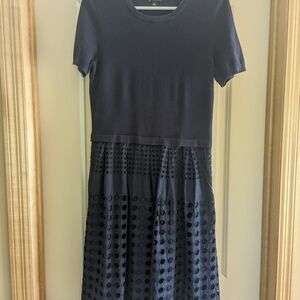 Ann Taylor Dress